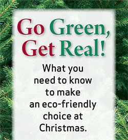 Go Green Get Real - Buy a Real Tree this Christmas