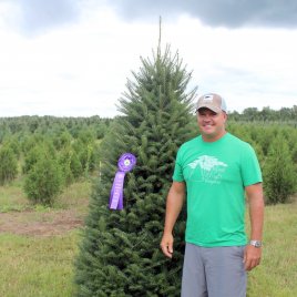 2024 Grand Champion tree from Silent Night Evergreens LLC