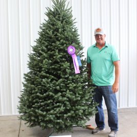 2023 Grand Champion tree from Silent Night Evergreen LLC