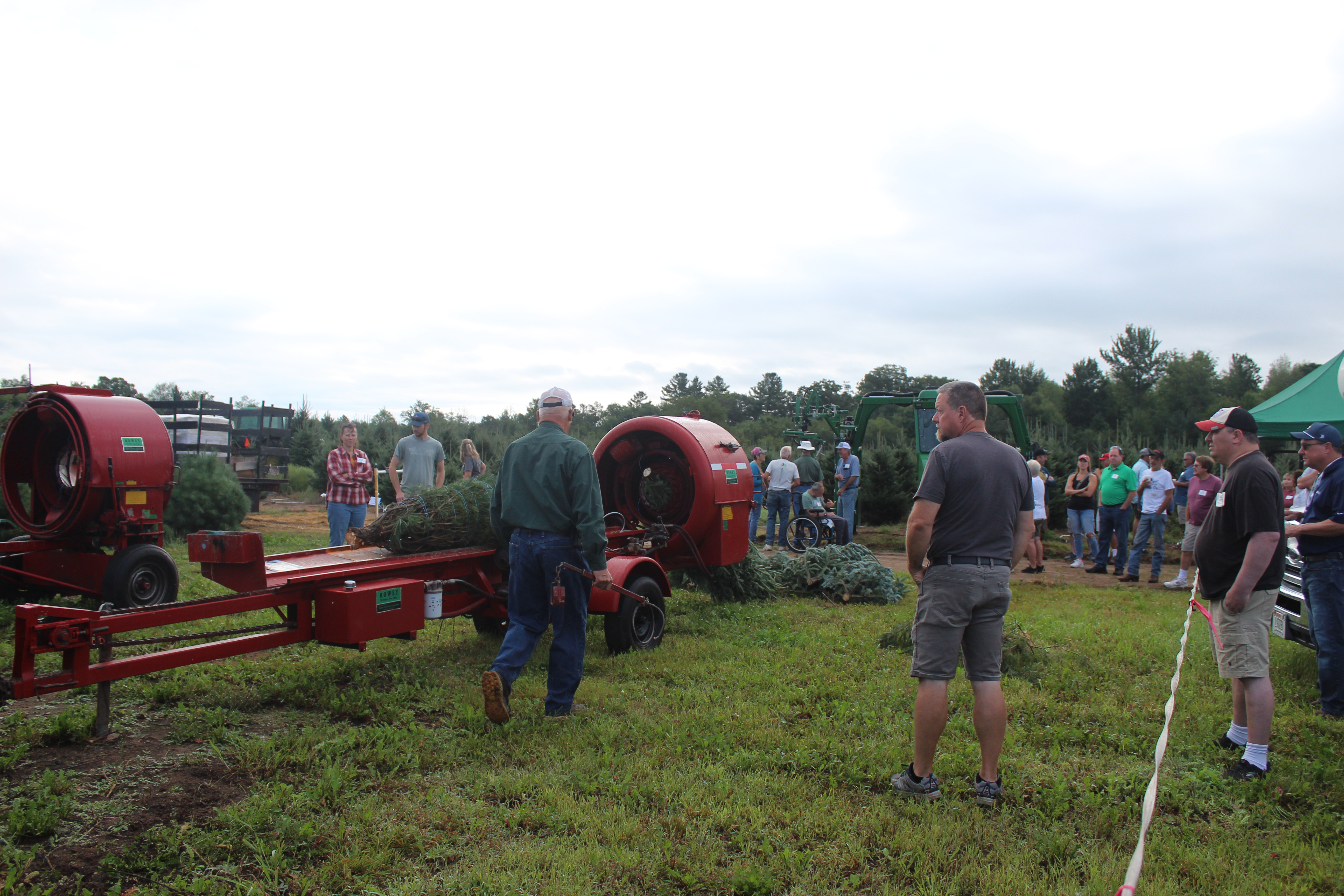 Wisconsin Christmas Tree Producers Association, WCTPA, Christmas tree growers & supplies