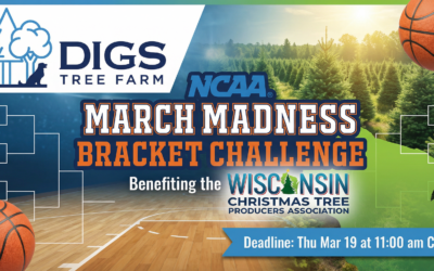 March Madness Bracket Pools