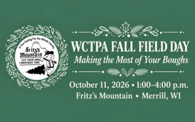 Fall Field Day: Making the Most of Your Boughs